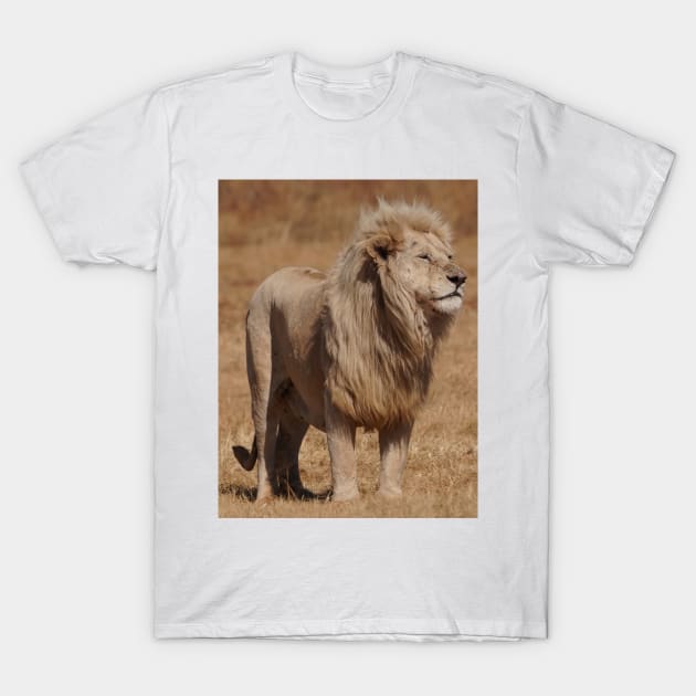 Lions T-Shirt by Monument 7